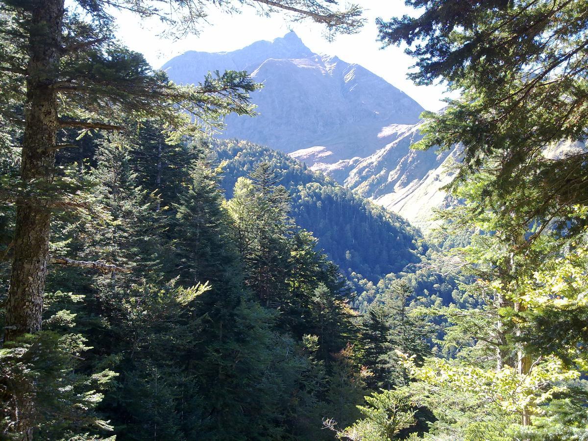Castel De La Pique Panzió Bagnères-de-Luchon Kültér fotó